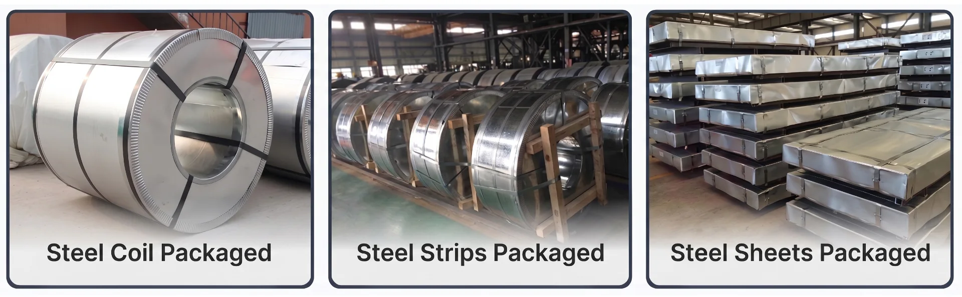Packaged Type
