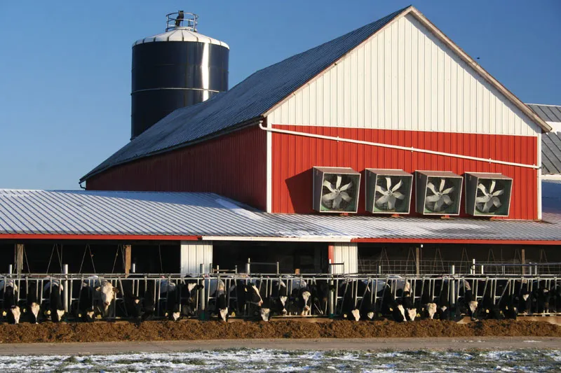 Fram Building livestock barns