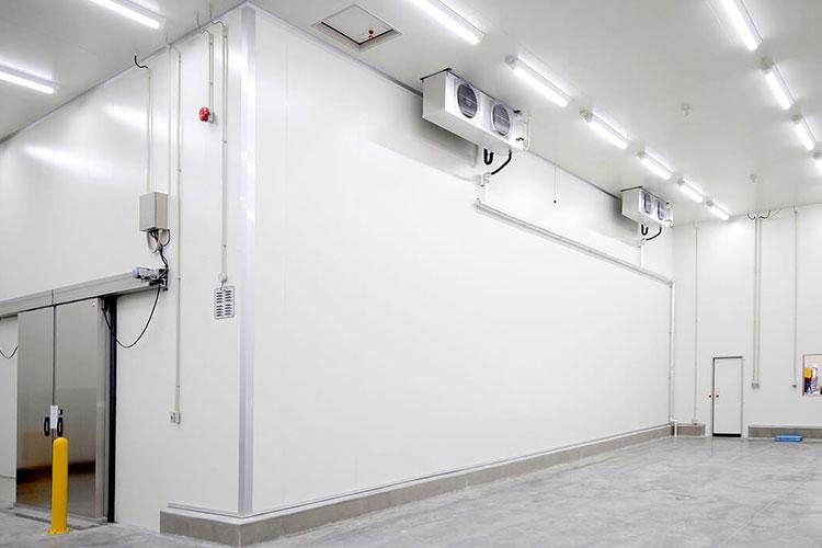 How to Choose PPGI for Cold Room Panels